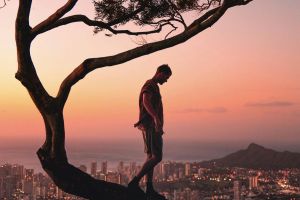 Silhouetted man on a tree at sunset with a panoramic view of Honolulu cityscape in the background.
