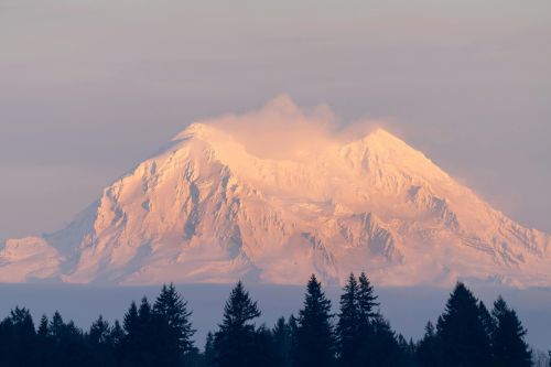 Captivating view of Mount Rainier covered in snow, highlighted by the soft glow of sunset, creating a peaceful winter landscape.